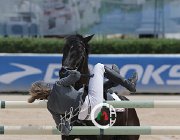 Giordano Carlton Wonder CsioArJYR SS7 8100 : CSIO Giovani Arezzo, Carlton Wonder, Giordano Martina, foto Stefano Secchi ©